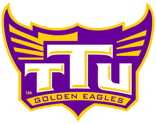 Tennessee Tech Golden Eagles 2006-Pres Alternate Logo v6 iron on transfers for clothing